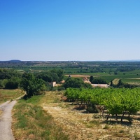 Photo de france - La randonnée des balcons d'Alignan-du-Vent